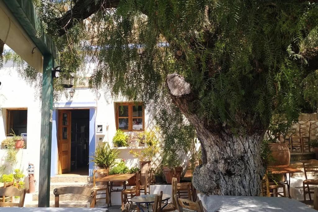 Traditional House Utopia Makri Gialos Pévkoi Exterior photo